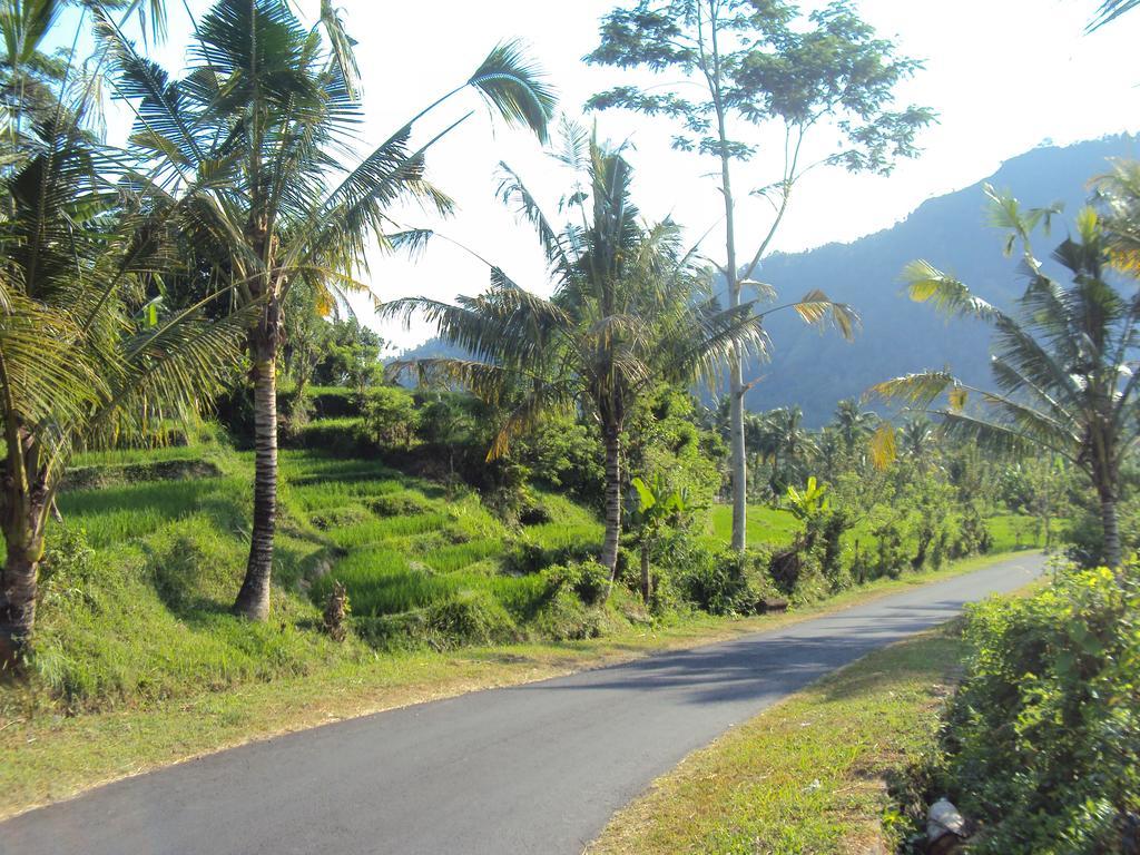 Villa Uma Ayu Sidemen Sidemen  Exterior foto